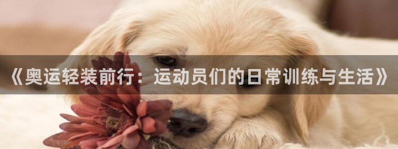 风动体育APP下载安装