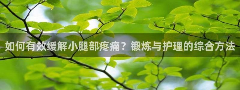 风动体育app官方下载