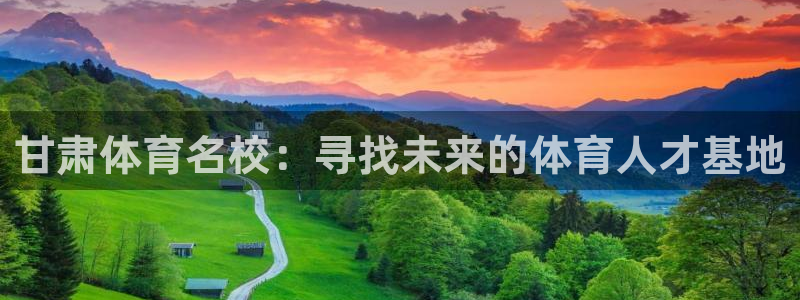 风动体育怎么下载app