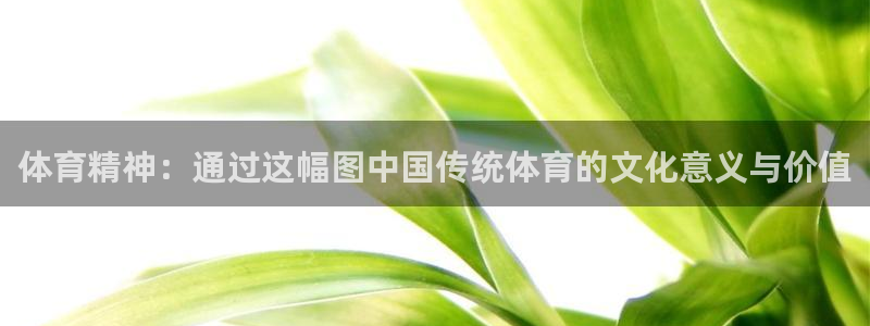 风动体育下载app