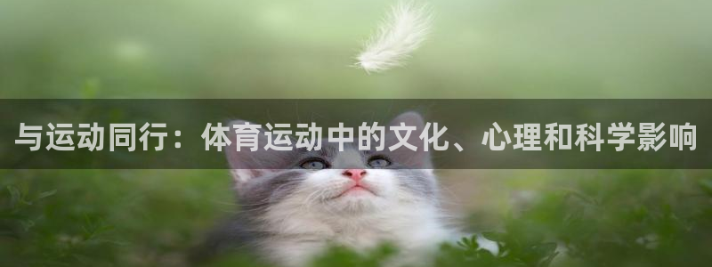风动体育苹果版在哪下