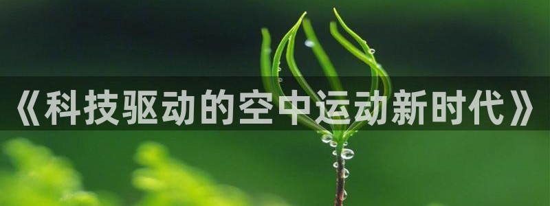 风动体育app