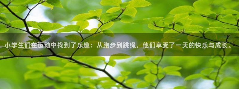 风动体育app官方网站