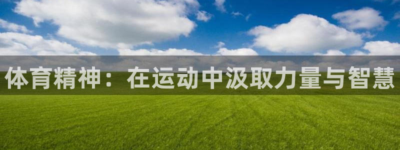 风动体育直播app