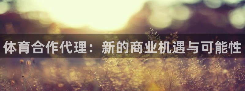 风动体育在线直播：体育合作代理：新的商业机遇与可能性